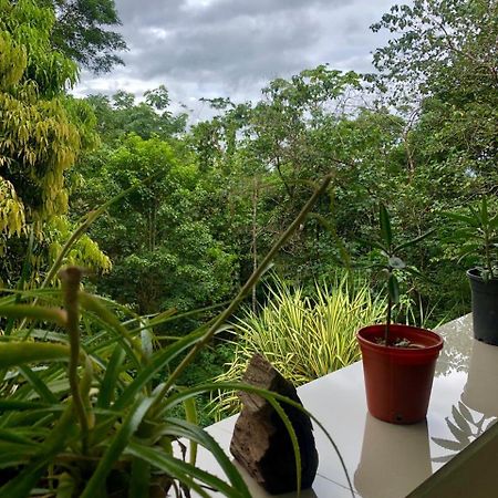 San Rafael Ecolodge La Tigra  Eksteriør bilde