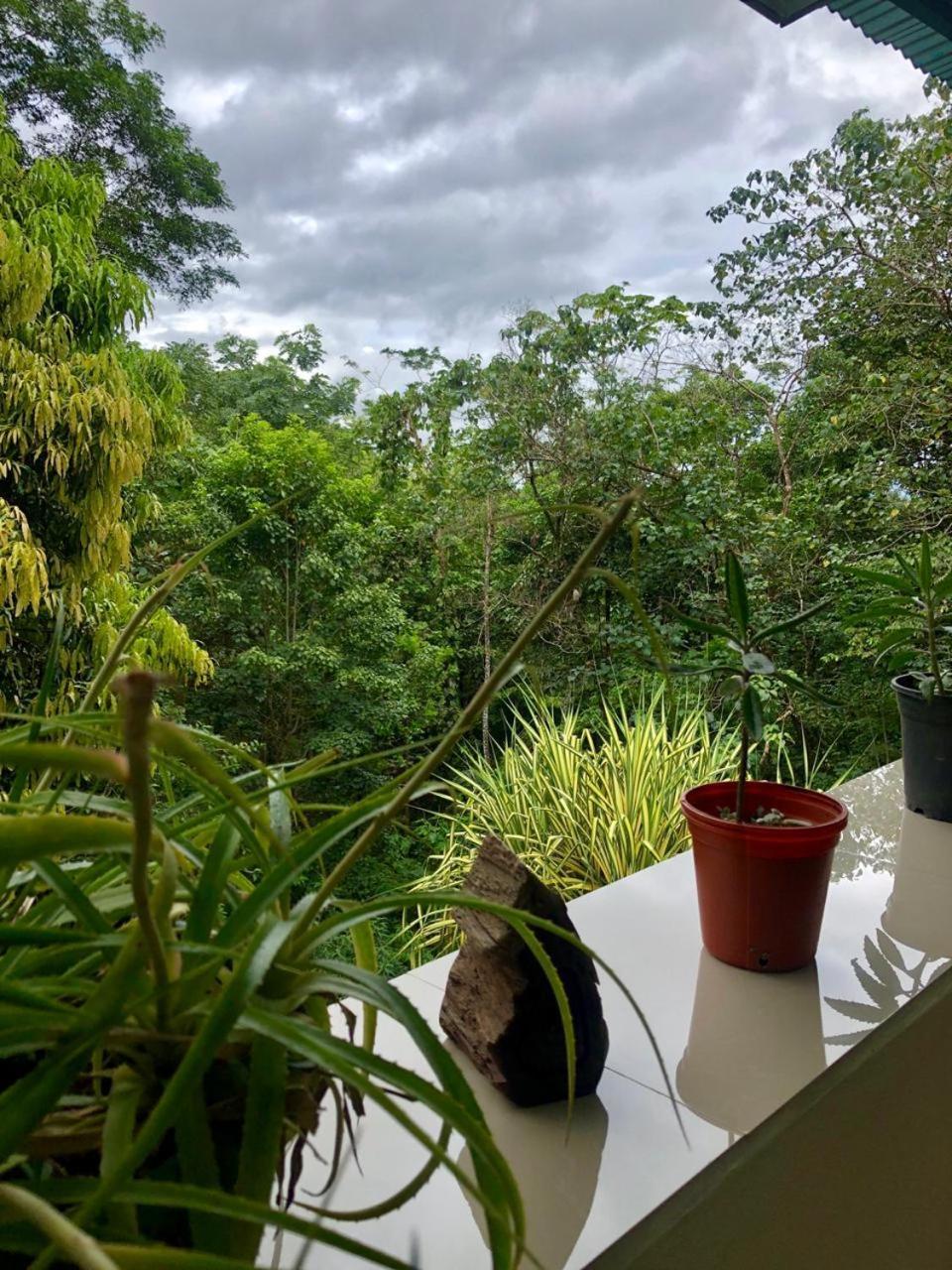 San Rafael Ecolodge La Tigra  Eksteriør bilde